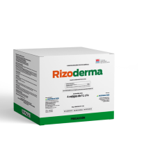 rizoderma